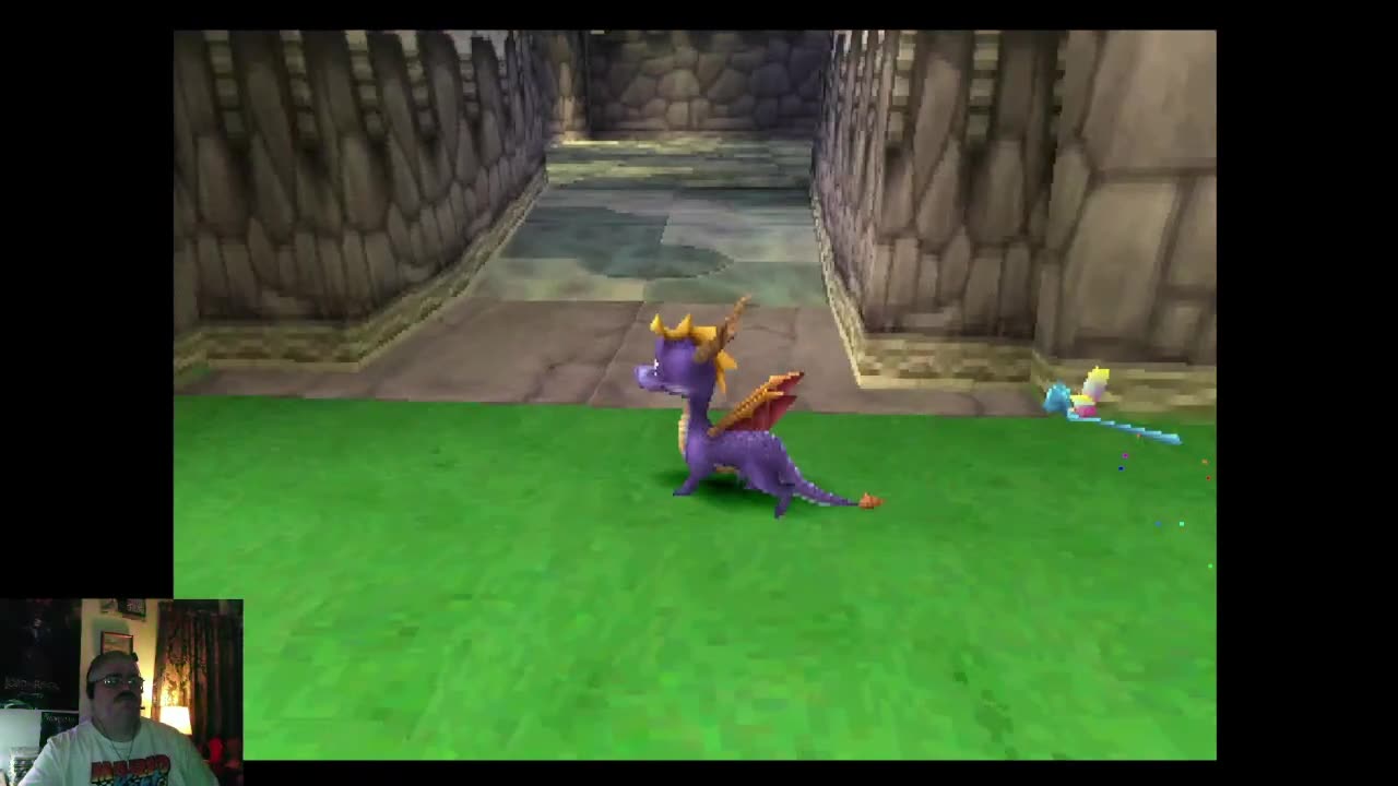 Spyro the Dragon Playthrough Part 1