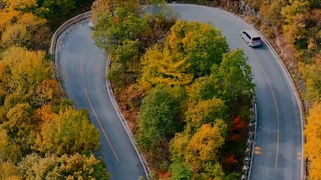 Shennongjia's Autumn Scenery How Beautiful Shennongjia's Autumn is