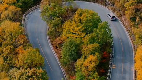 Shennongjia's Autumn Scenery How Beautiful Shennongjia's Autumn is