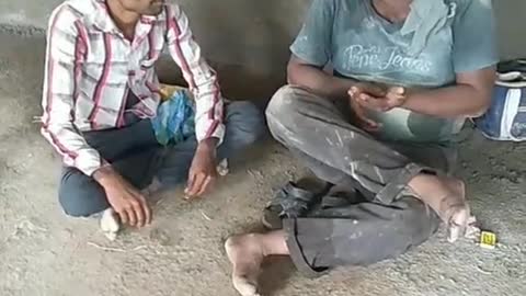 Funny videos