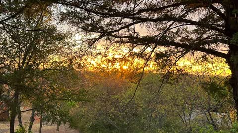 🦅⭐️⭐️⭐️⭐️⭐️🦅