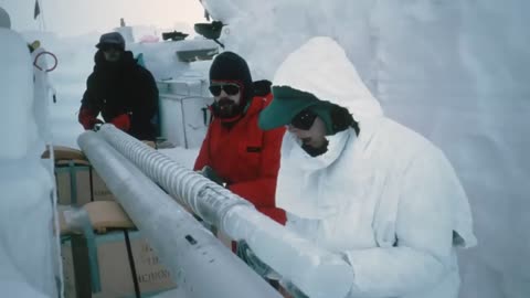 Who built this wild creature in Antarctica?