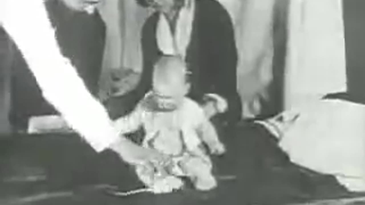 Little Albert Experiment