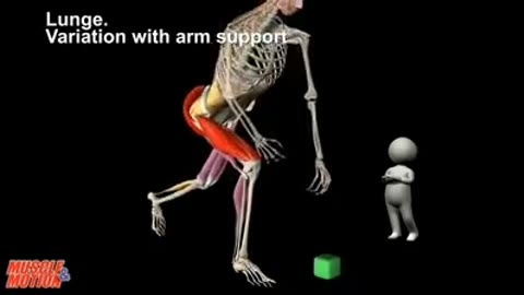 How to safely and properly carry heavy objects. - Muscle and Motion