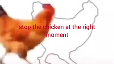 Can you stop the chicken at the right time?