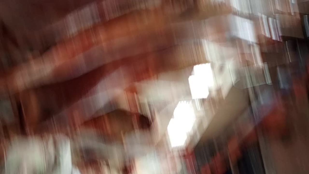 Into the slaughter house