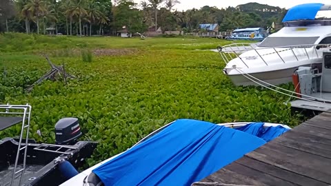 PEMANDANGAN DANAU TOBA DARI PELABUHAN SIMANINDO, SAMOSIR