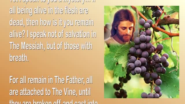 Feed My Sheep, ignore the Scoffers & Remain separate 🎺 Trumpet Call of God