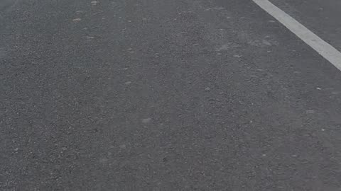 Mini vlog