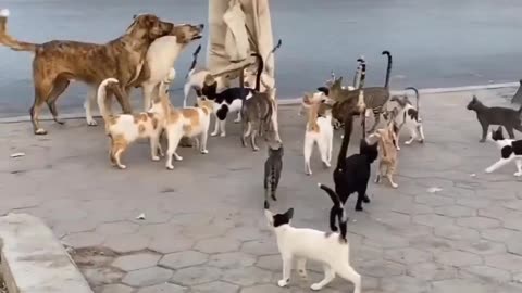 Act of kindness