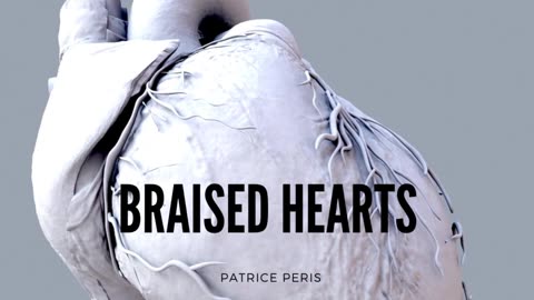 Braised Hearts by Patrice Peris