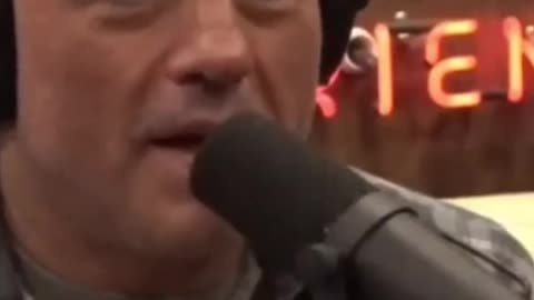 The Rock Cheat Day on Joe Rogan Podcast