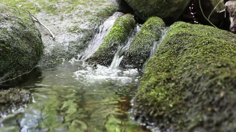 ASMR water running down a stream