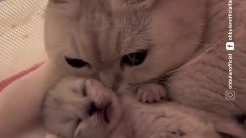 sayangnya dia kat baby dia