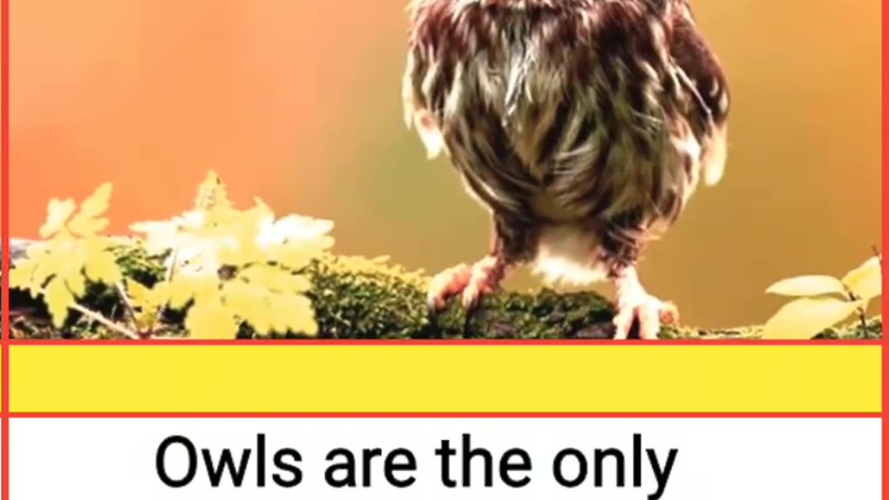 Did you know | Interesting facts | Mind Blowing | Which will Amaz You