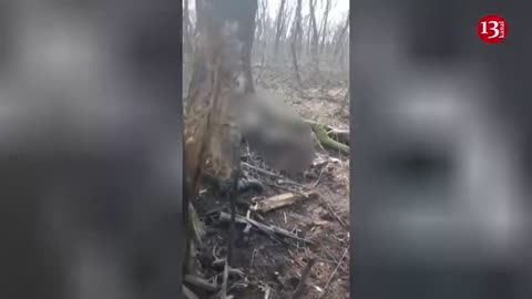 “Russians sleeping under trees" - Ukrainian fighters are in Russians’ position in Bakhmut forest