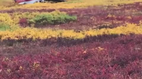 Helicopter gives helping hand