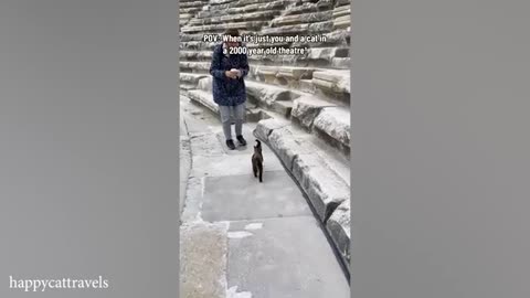 cat distribtion very interesting