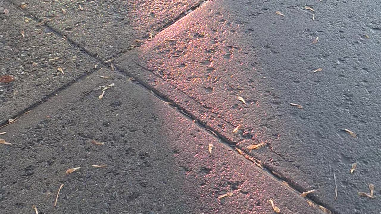 Nice color reflected from window