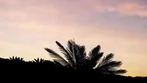 Government Ufo Florida 9.1.2023