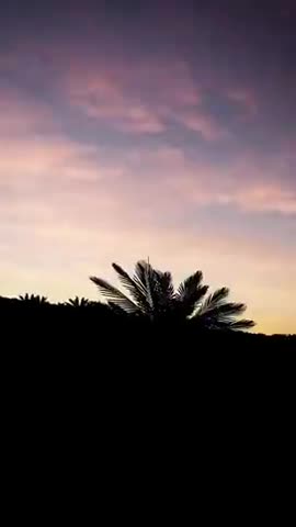 Government Ufo Florida 9.1.2023