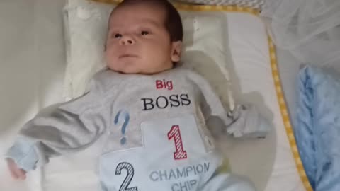 omar chadi hajji 01/06/2024
