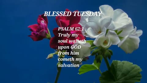 Happy Tuesday, have a blessed day 🙌