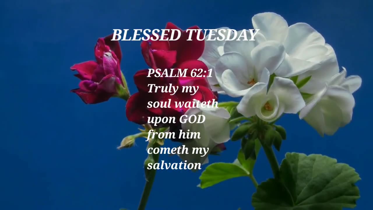 Happy Tuesday, have a blessed day 🙌