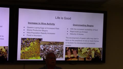 Spring in the Hive - Making Splits