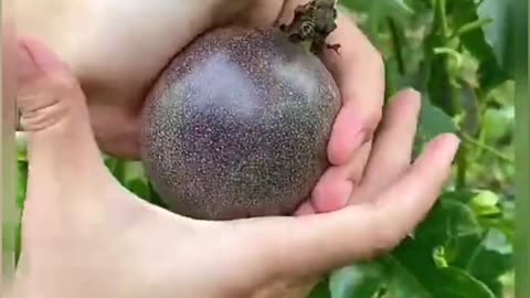 #amazing fruit ❣️🍑 cutting that is wonderfull