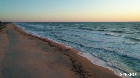 Sea beaches birds eays