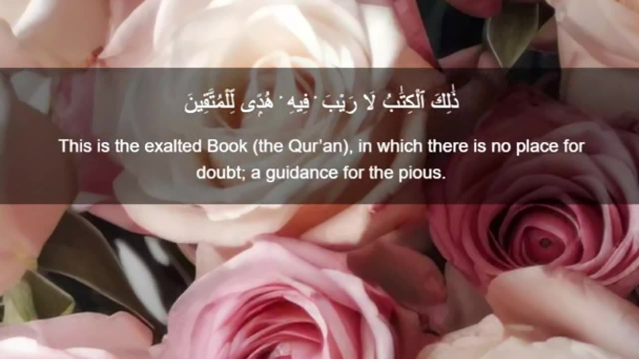 Beautiful recitation of the Holy Quran||تلاوة جميلة للقرآن الكريم