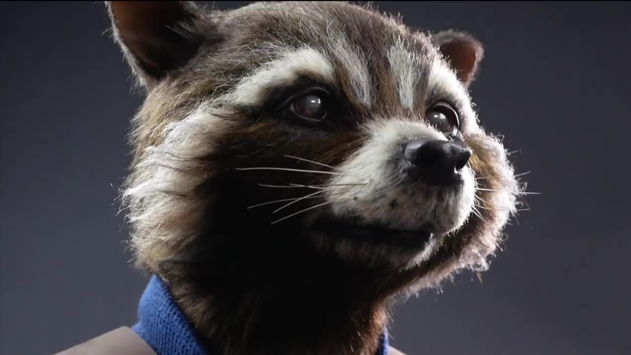 Rocket Best Idol