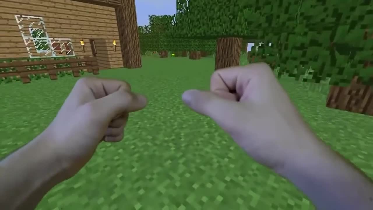 Minecraft Real Life | VideoGames