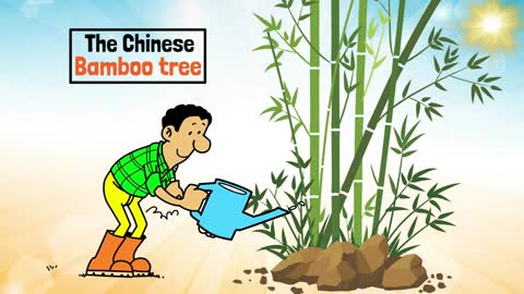 Life and Success Lessons from the Chinese Bamboo Tree