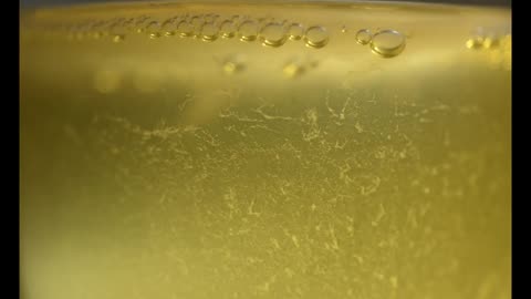Kombucha timelapse