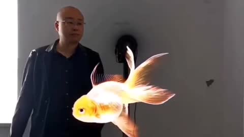 Wonderful Chinese Technologies