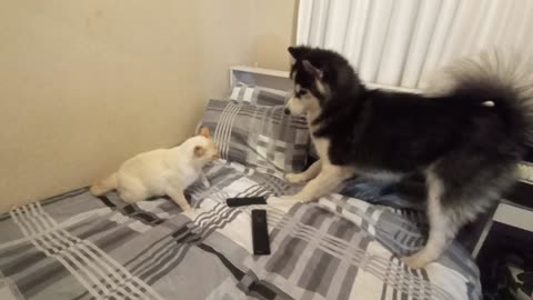 Théo and Nino