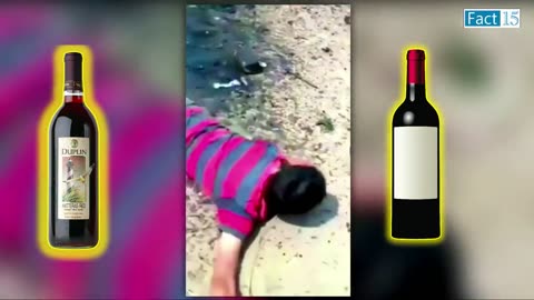 Funny video, Effect of local Wine