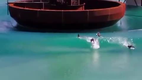 Surf's Up - wave generating tech is awesome