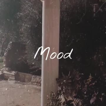 Raindrops sounds with thunder