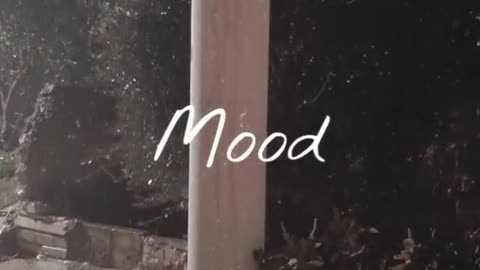 Raindrops sounds with thunder