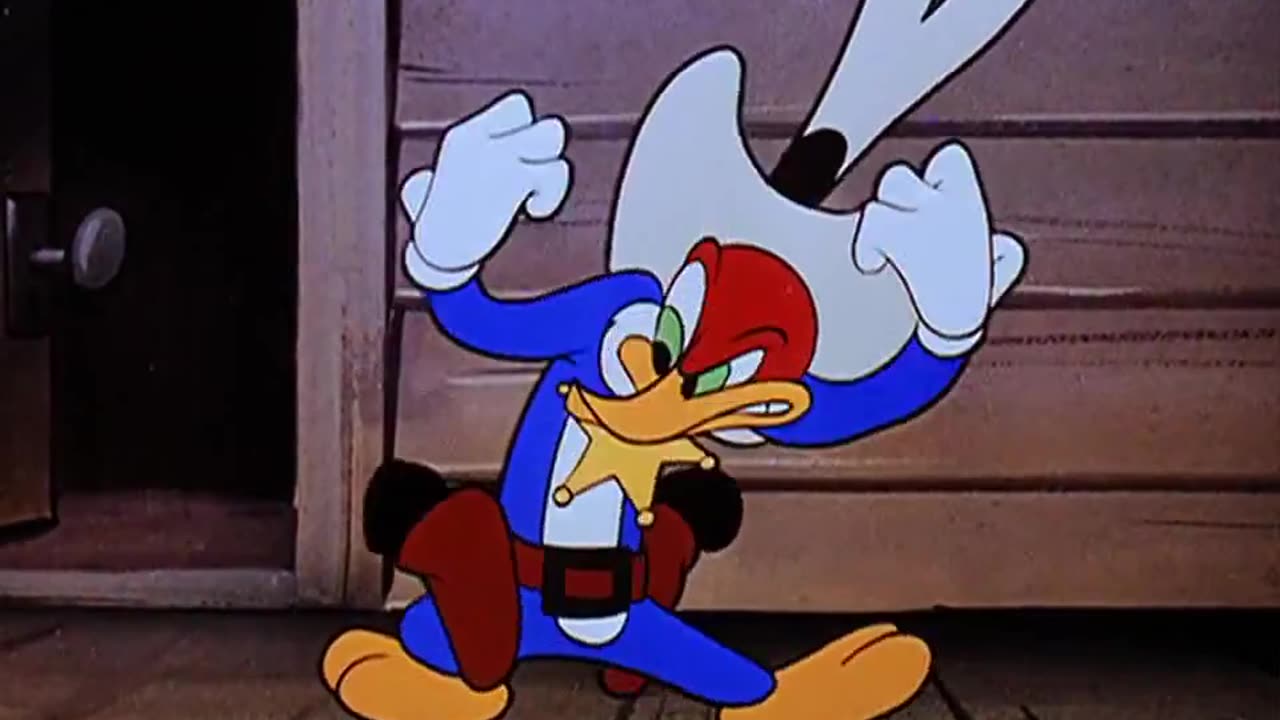 WOODY WOODPECKER - 032 - Wild and Woody