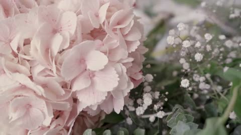 Guided Meditation for Self Love