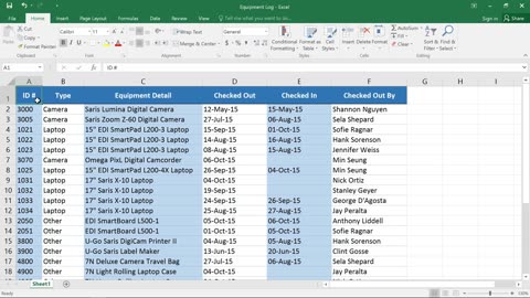 How to Filter Data in Microsoft Excel