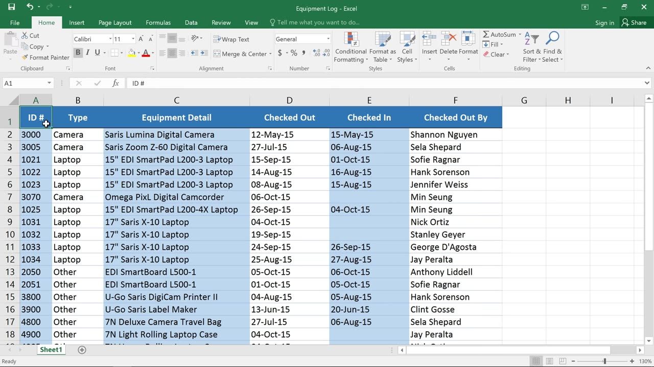 How to Filter Data in Microsoft Excel