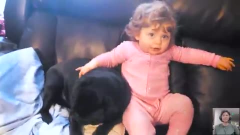 Baby and Pets - The cutest and funniest moments ever