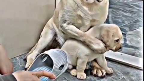 Mother love