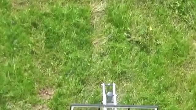 WORLD RECORD Backwards Basketball Shot!