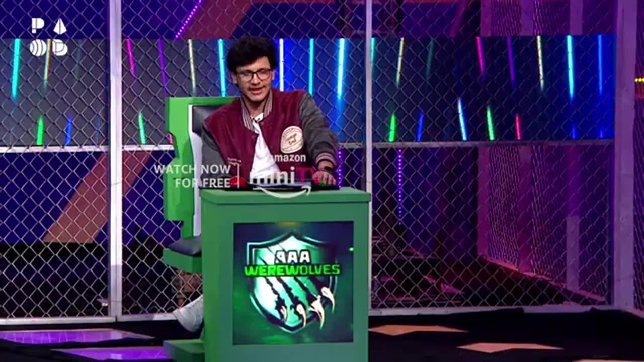 Tiger Insan